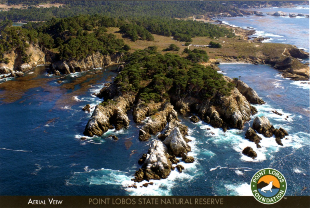 postcard a Point Lobos