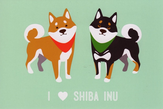 postcard a dogs shiba inu