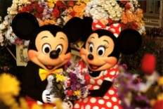 Disney World Mickey and Minnie Flowers